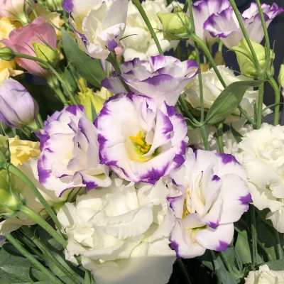 идеи на 14 февраля