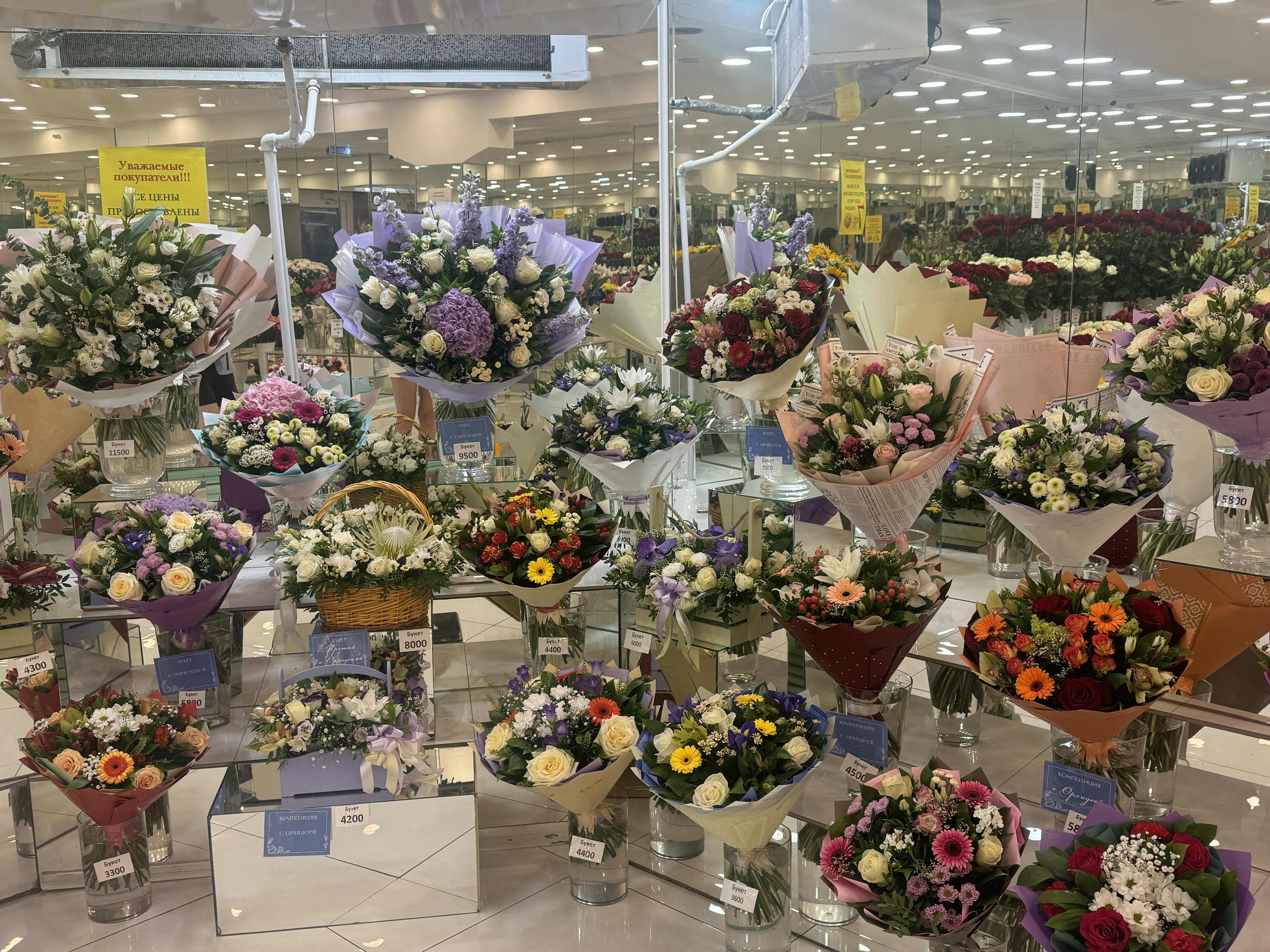 Изображение 9