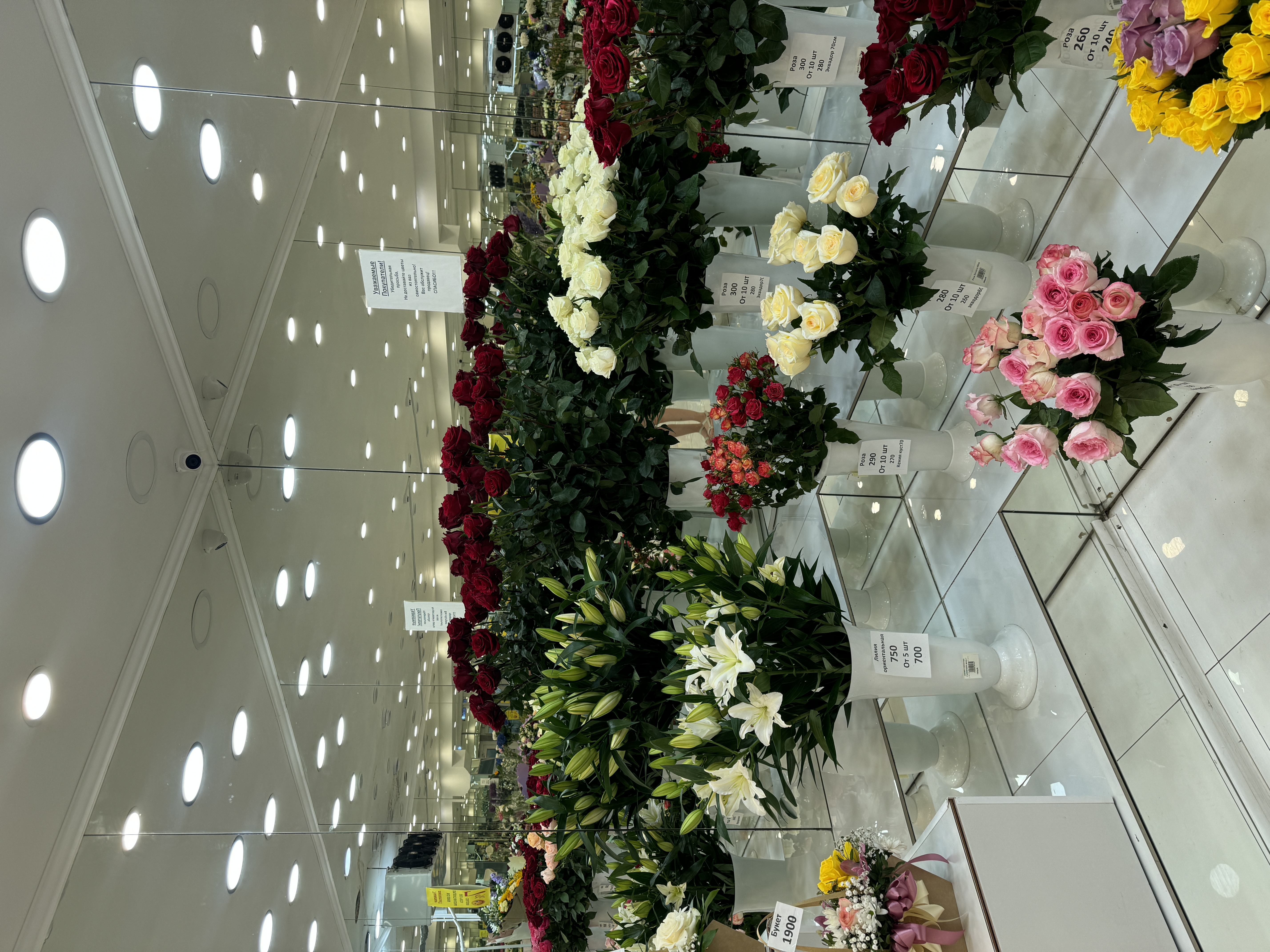 Изображение 8