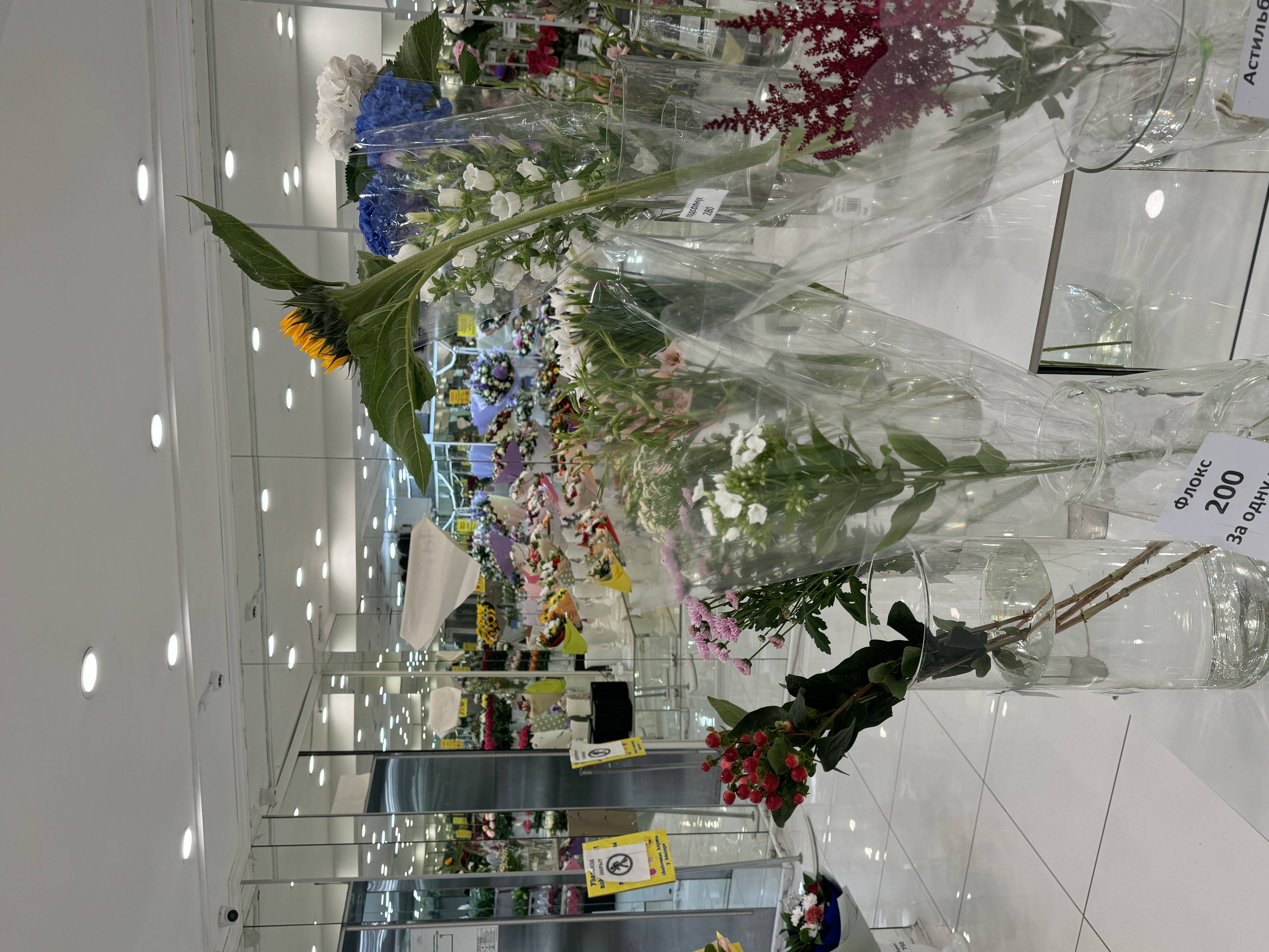 Изображение 7