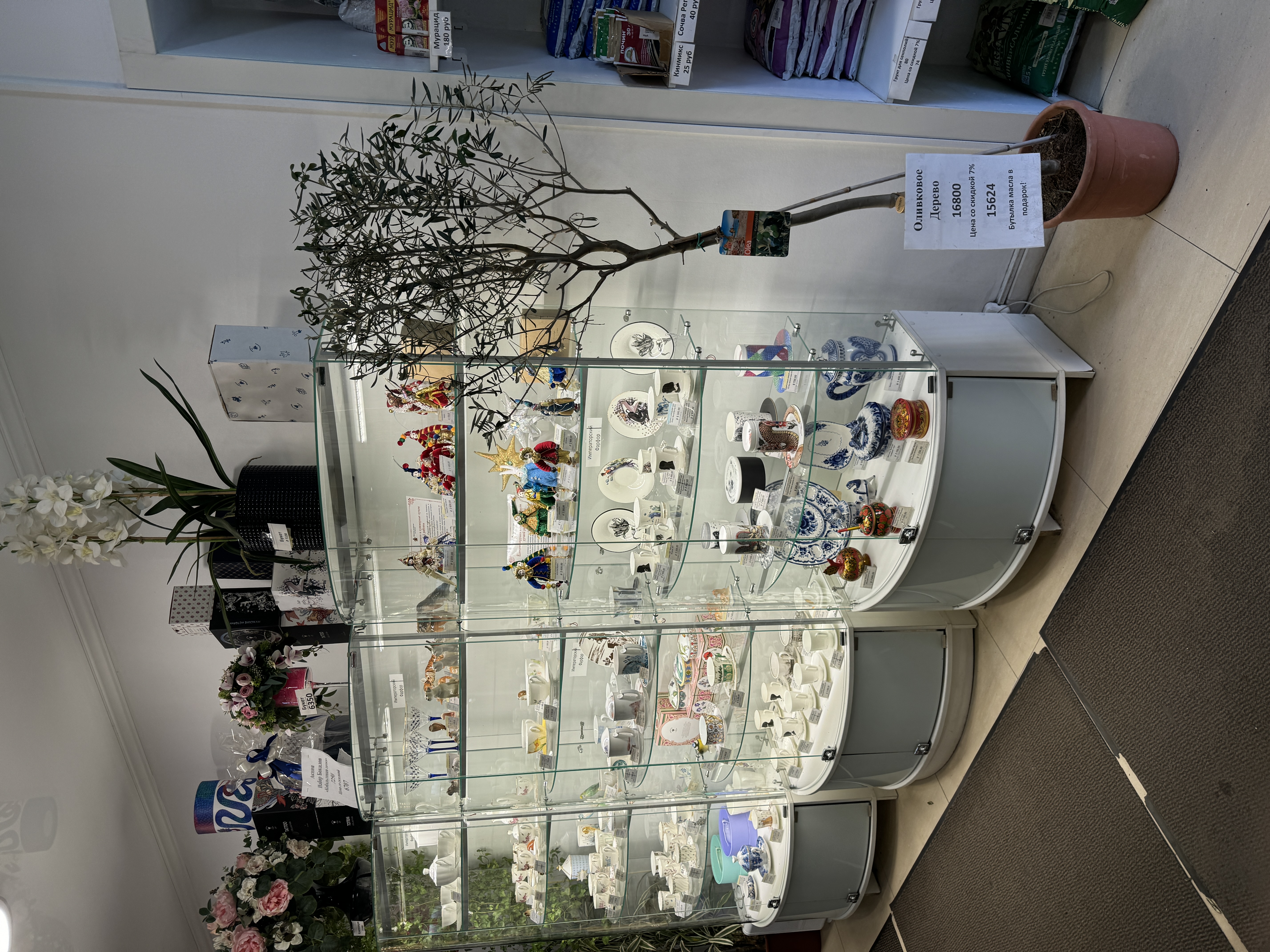 Изображение 3