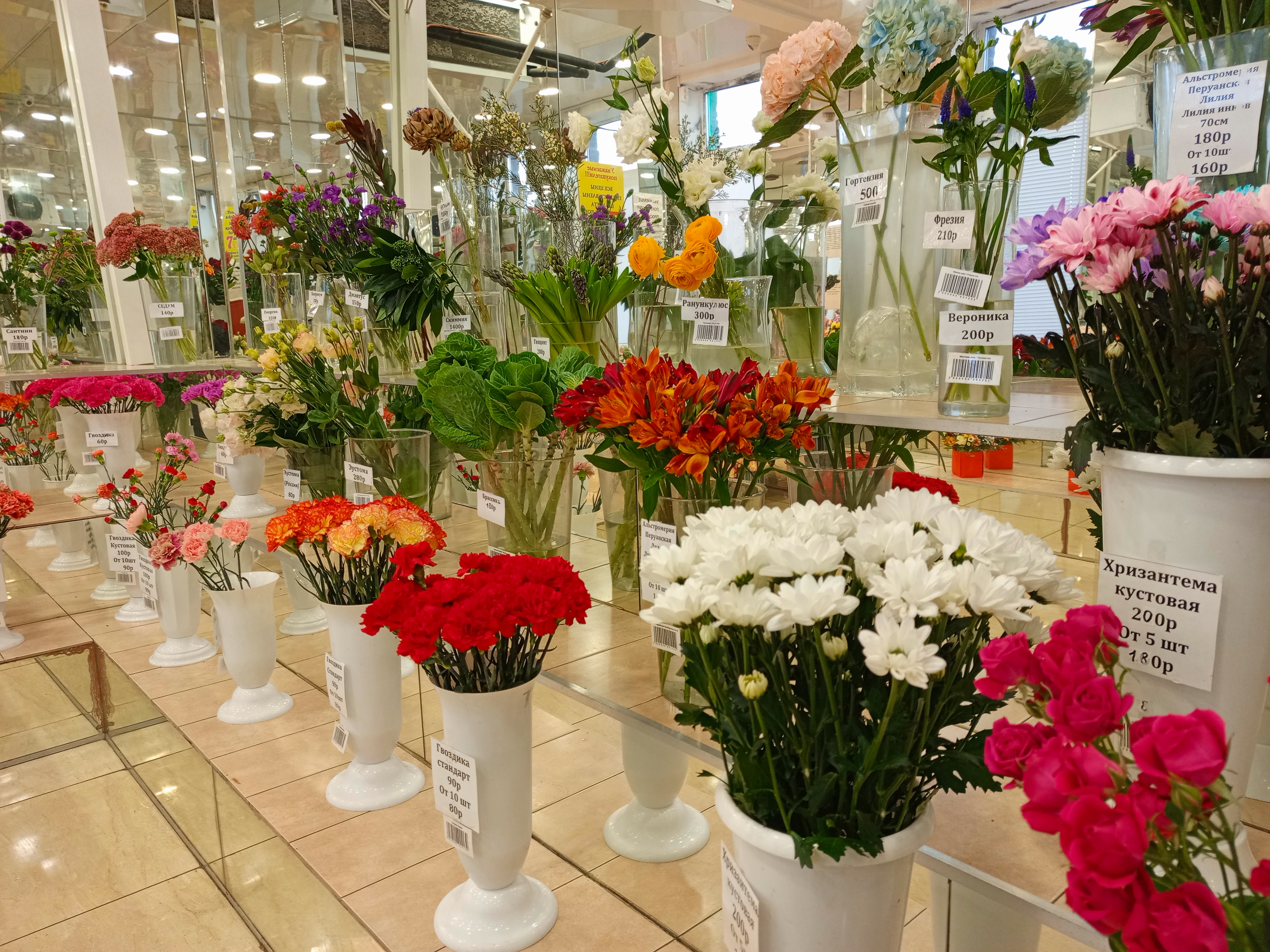 Изображение 6