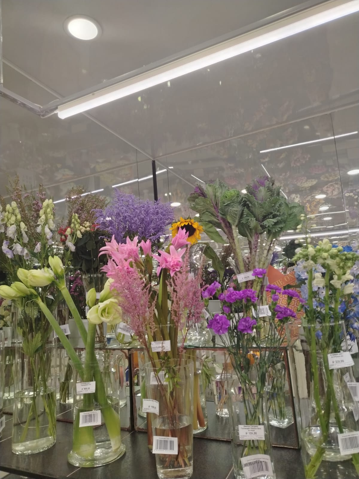 Изображение 11