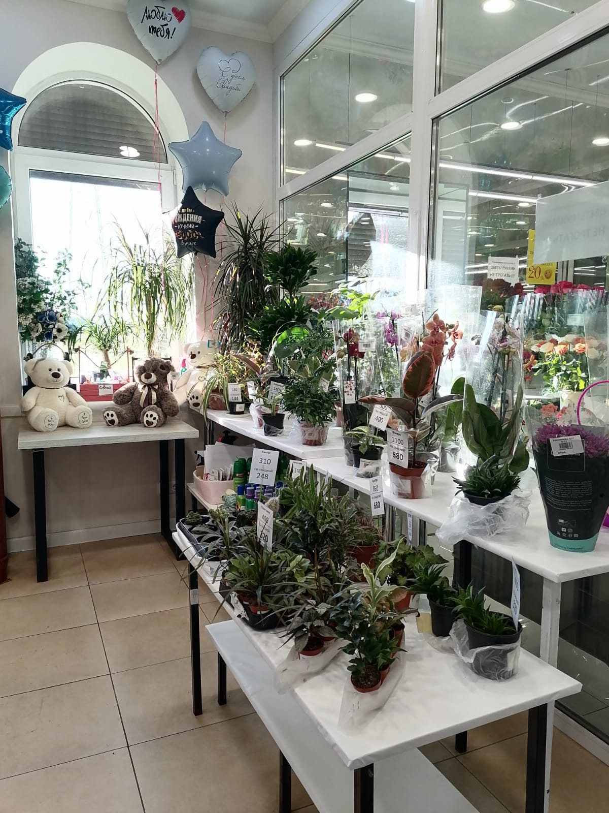 Изображение 4