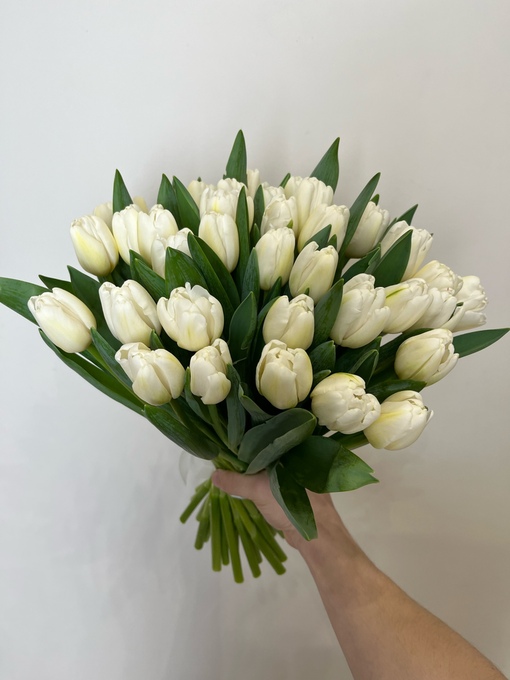 35 белых тюльпанов купить с доставкой