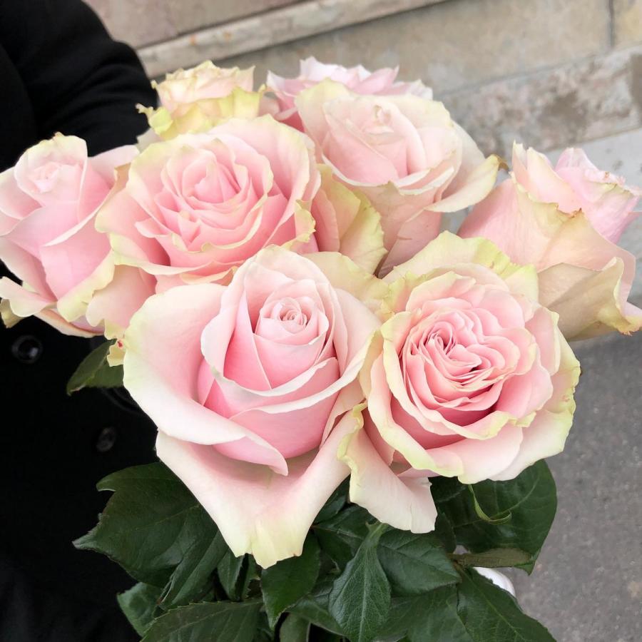 Купить Эквадорские розы с доставкой в Томске и Северске круглосуточно